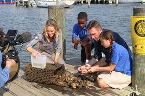 Philippe Cousteau Jr.