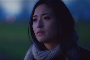 Screen Shot from FARM