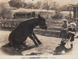 Joan Breslau and Gail Kornfeld in Amateur Daddy (1932)