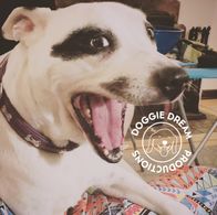 Doggie Dream Productions logo
