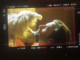 Ryan Culver with Taco the Dog on set
