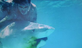 Ramón Bravo in Zombie (1979)