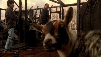 The Sopranos - Lois Pettit