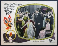Kathleen Kirkham, Barbara La Marr, Ben Lyon, Edna Murphy, and Josie Sedgwick in The White Moth (1924)