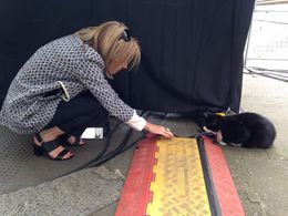 Mary Nightingale in ITV Evening News (1999)