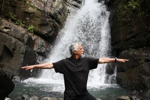 RAINFOREST Daniel Halleck