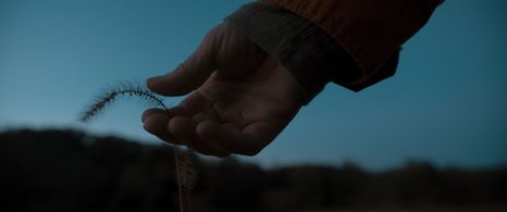 Alicia Kelley in The Farm (2023)