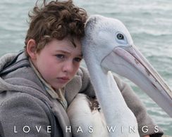 Finn Little in Storm Boy (2019)