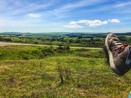 The drone will come back, right?