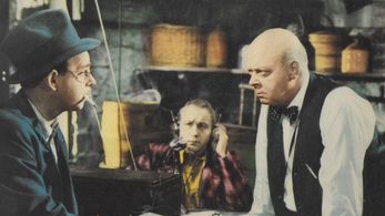 Aubrey Mather and Sigfrid Tor in Careful, Soft Shoulders (1942)