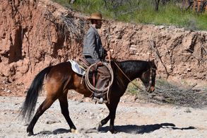 Shayn Herndon in She Was the Deputy's Wife (2021)