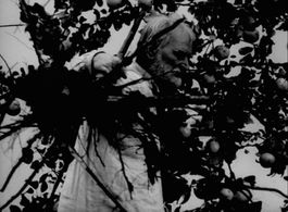 Dmitri Milyutenko in Krynytsya dlya sprahlykh (1965)