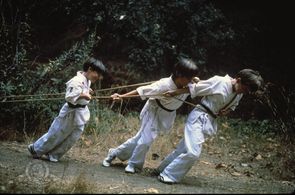 Chad Power, Max Elliott Slade, and Michael Treanor in 3 Ninjas (1992)