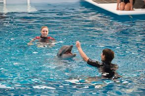 Winter The Dolphin, Nathan Gamble, Cozi Zuehlsdorff, and Winter in Dolphin Tale 2 (2014)