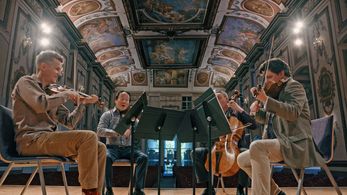 Haydnhalle on “Great Performances: Now Hear This.”