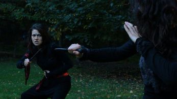 She-Blade in Mountain Kombat.