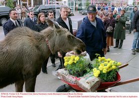 Gene Hackman, Fred Savage, and Marcia Gay Harden in Welcome to Mooseport (2004)