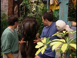 Chris Kratt and Martin Kratt in Zoboomafoo (1999)
