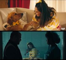 Miranda Cosgrove, James Babson & Shon Wilson in Marshmello ft. Bastille - Happier (Official Music Video)