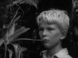Tom Gaman in Lord of the Flies (1963)