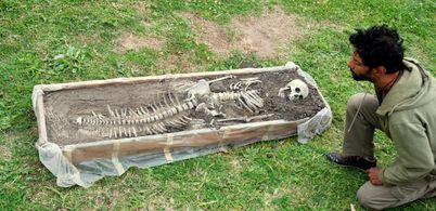 Pablo Padilla in El cielo escondido (2016)