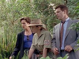 Colin Friels and Catherine McClements in Water Rats (1996)