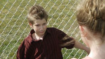 Screen Shot - Dandelions