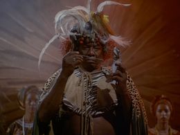 Julius Harris in The Hardy Boys/Nancy Drew Mysteries (1977)