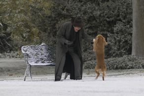 Peter O'Toole in Dean Spanley (2008)
