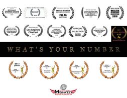 One more festival recognizing What's Your Number - thank you