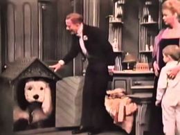 Margalo Gillmore, Cyril Ritchard, Norman Shelly, and Joseph Richard Stafford in Peter Pan (1955)