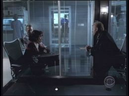 Marina Palmier & David Caruso CSI MIAMI