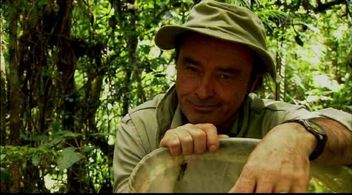 Georges Brossard in Insectia (1999)