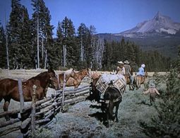 Dana Andrews, Susan Hayward, Tad Devine, and Patricia Roc in Canyon Passage (1946)