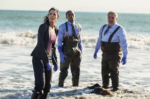Angie Harmon, Bruce McGill, and Lee Thompson Young in Rizzoli & Isles (2010)