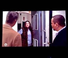 Mae opens door to Detectives Fin and Carisi on L&O:SVU