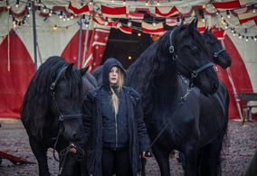 Vilken jävla cirkus