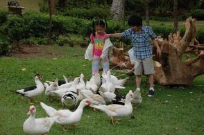 Zaijian Jaranilla and Xyriel Manabat in Pak! Pak! My Dr. Kwak! (2011)