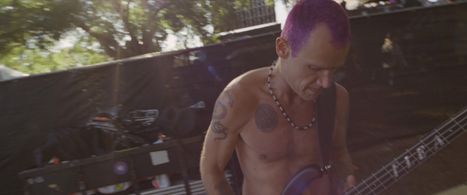 Flea in Song to Song (2017)