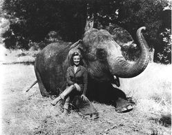 Phyllis Coates in Panther Girl of the Kongo (1955)