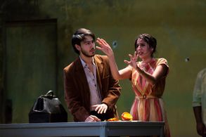 Seven Spots on the Sun