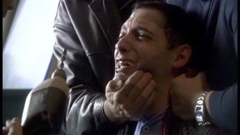 Stefano DiMatteo in Wisegal.