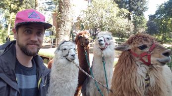Executive Producer Michael McGuire with the Alpaca cast members of Color Out of Space.