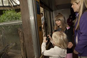 Terri Irwin, Bindi Irwin, and Robert Clarence Irwin in Free Willy: Escape from Pirate's Cove (2010)