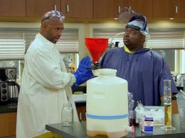 LaVan Davis and Palmer Williams Jr. in House of Payne (2006)