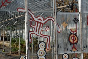 Chumash pictographs on greehouse glass.