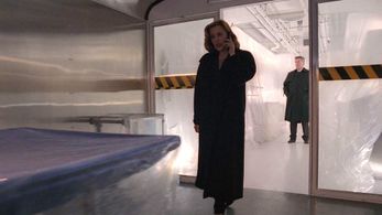 Gillian Anderson and Don S. Williams in The X-Files (1993)