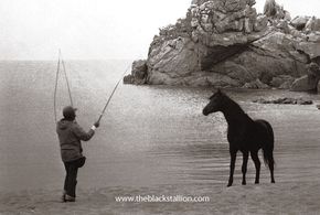 Corky Randall and Cass-Olé in The Black Stallion (1979)