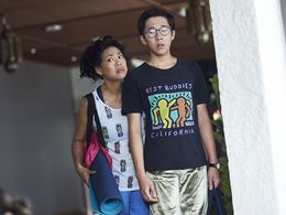 The Family Law Series 2