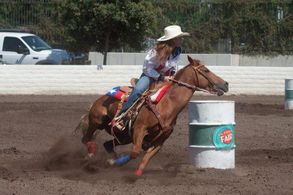 Melissa Allen-Weiser